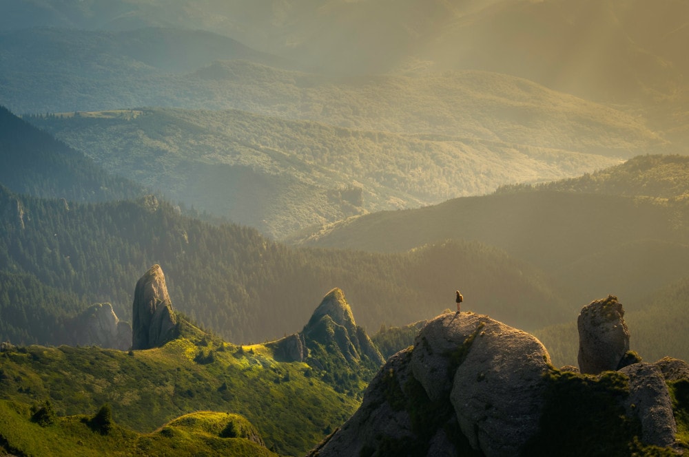 Naturcoaching Beruf wechseln